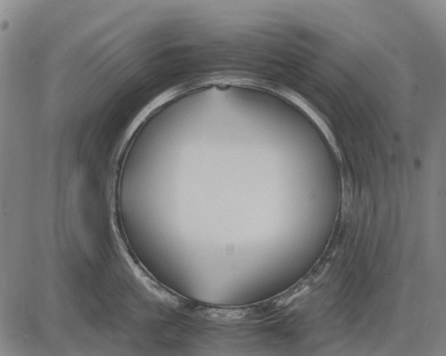 X0000083660861200703051750