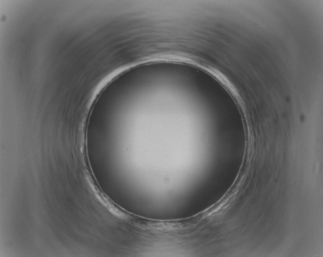 X0000083660862200703051750