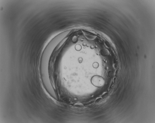 X0000083660863200703051750