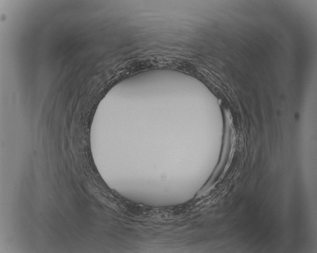 X0000083660865200703051749