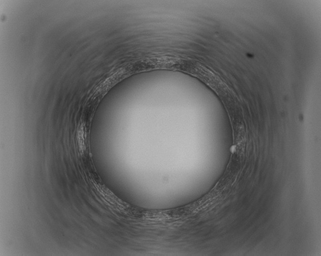 X0000083660866200703051749