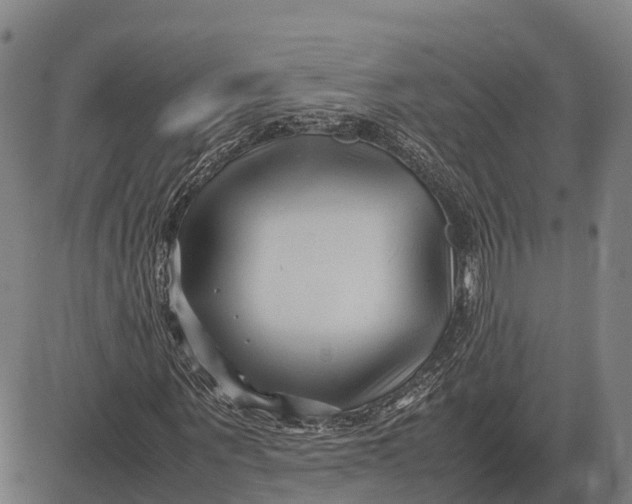 X0000083660867200703051749