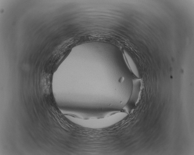 X0000083660868200703051749