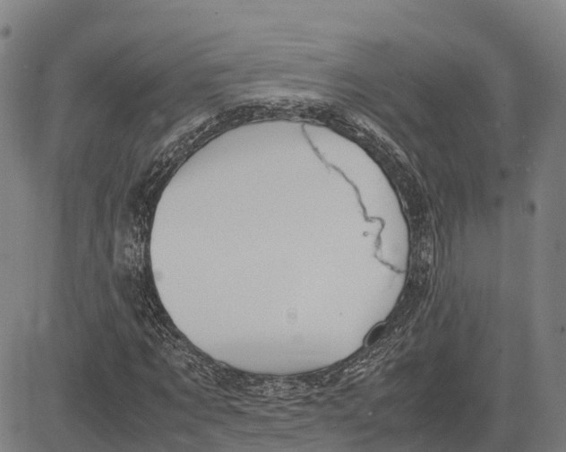 X0000083660869200703051749