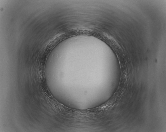 X0000083660870200703051749