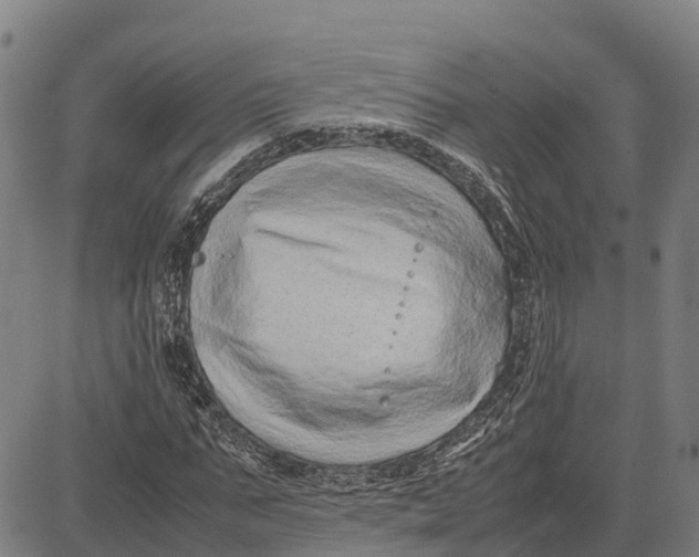 X0000083660871200703051749