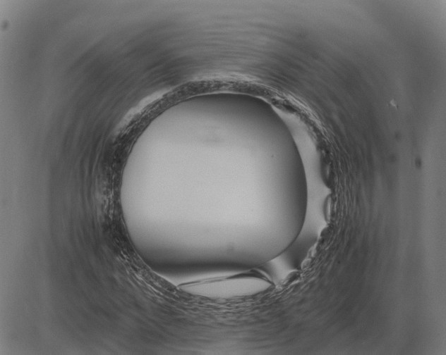 X0000083660872200703051749