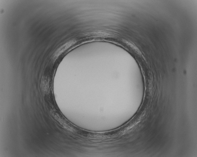 X0000083660873200703051749