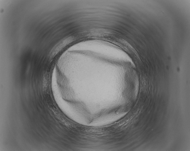 X0000083660874200703051749