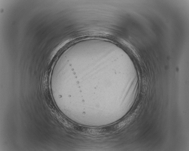 X0000083660875200703051749