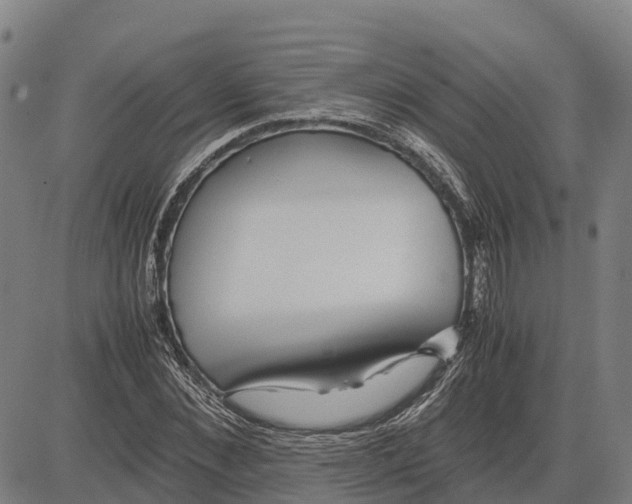 X0000083660876200703051749