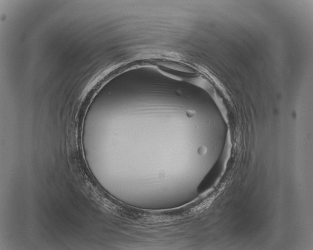 X0000083660877200703051749