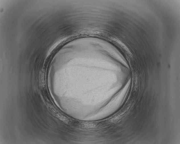 X0000083660878200703051749