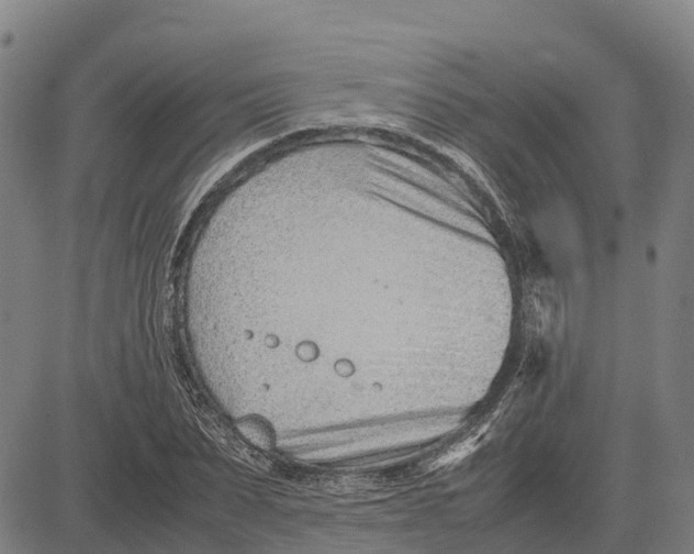 X0000083660879200703051749