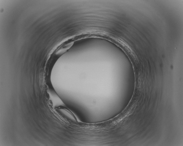 X0000083660880200703051749