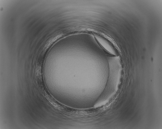 X0000083660881200703051749