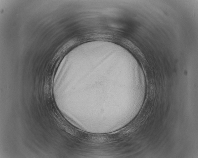 X0000083660882200703051749