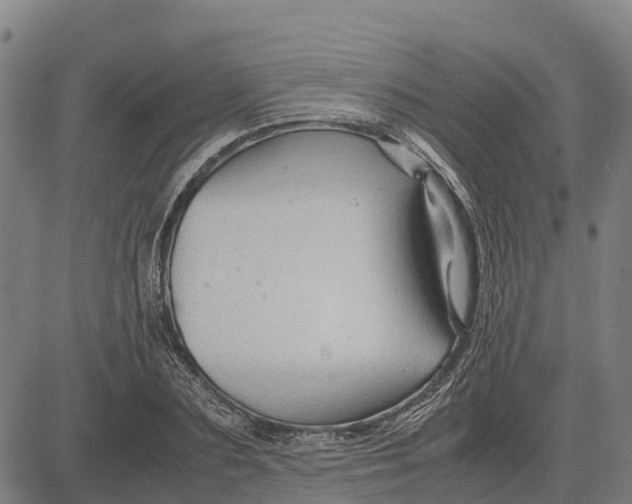 X0000083660883200703051749