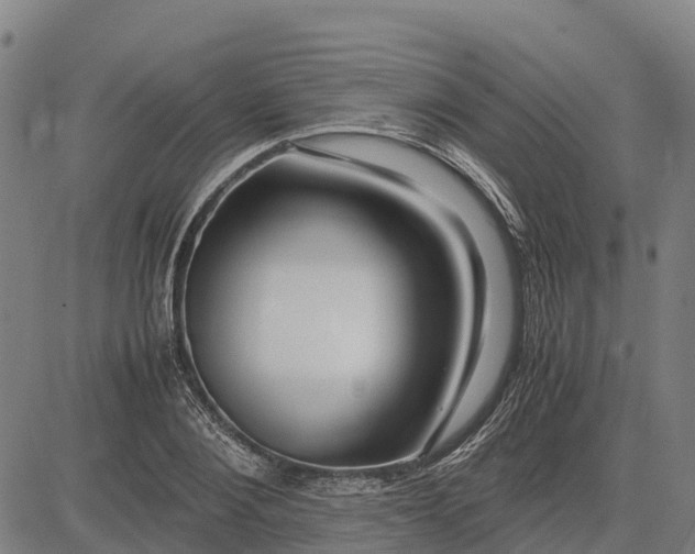 X0000083660884200703051749