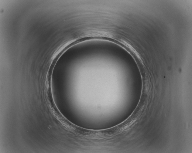 X0000083660885200703051749