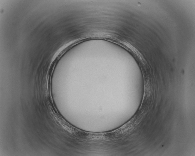 X0000083660886200703051749