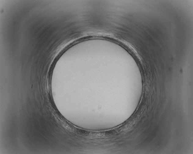 X0000083660887200703051749