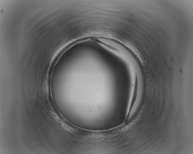 X0000083660888200703051749