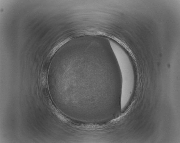 X0000083660889200703051749