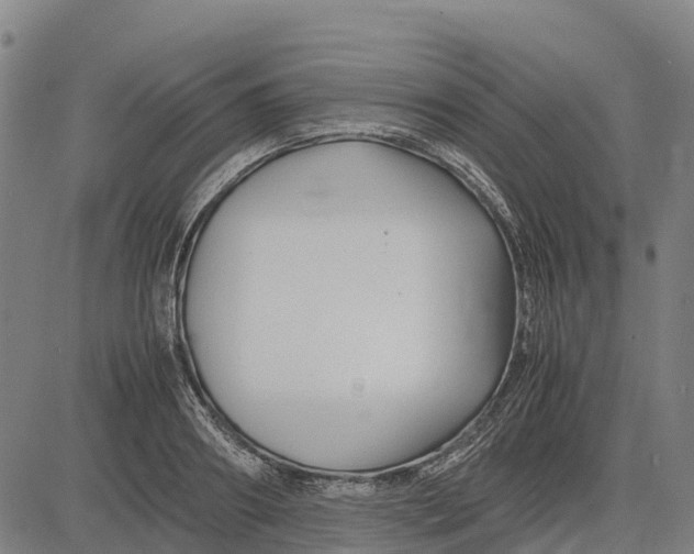 X0000083660890200703051749