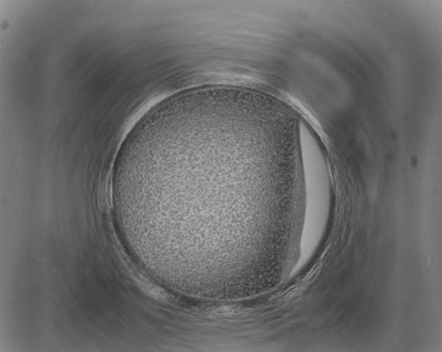 X0000083660891200703051749