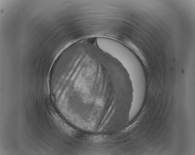 X0000083660892200703051749