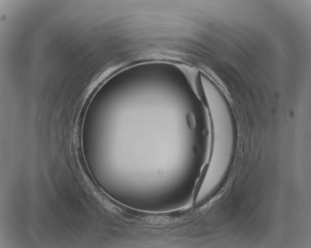 X0000083660893200703051749