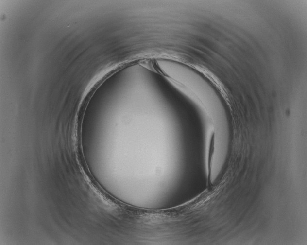 X0000083660894200703051749