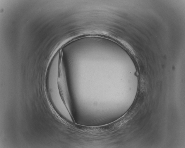 X0000083660895200703051749