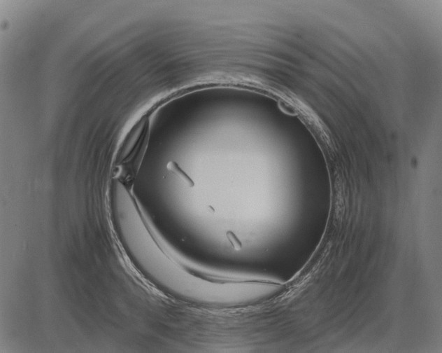 X0000083660896200703051749