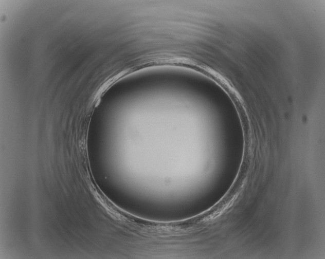 X0000083660897200703051749