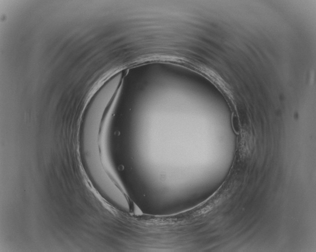 X0000083660898200703051749