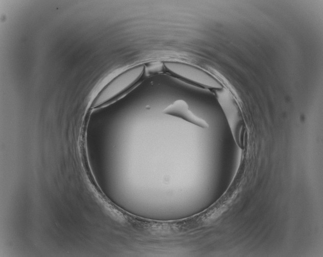 X0000083660901200703051749