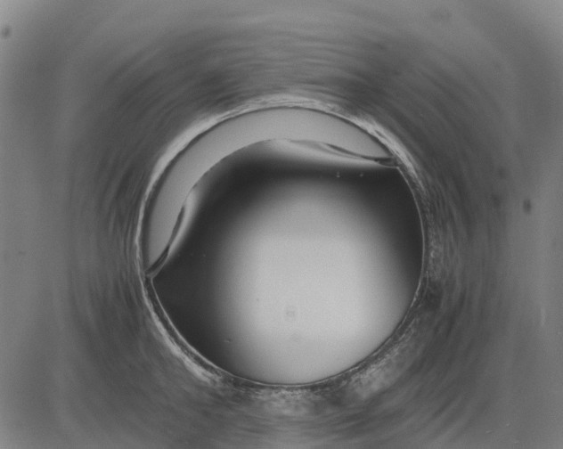 X0000083660902200703051749