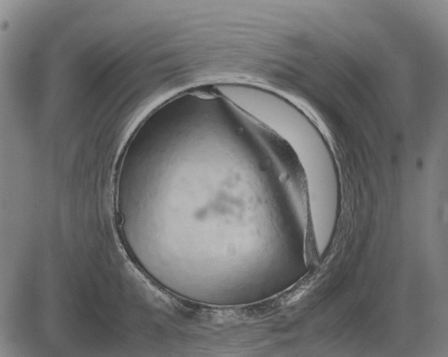 X0000083660903200703051749