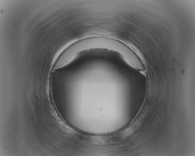 X0000083660904200703051749