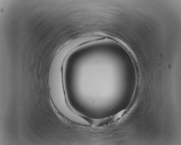 X0000083660905200703051749