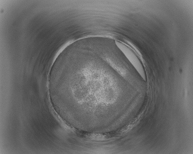 X0000083660907200703051749