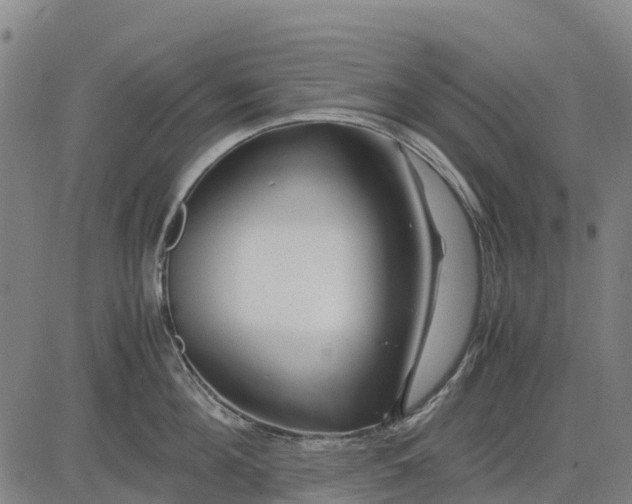 X0000083660908200703051748