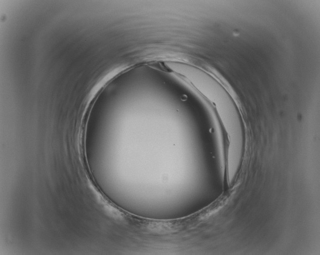 X0000083660909200703051748