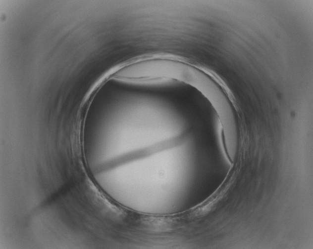 X0000083660910200703051748