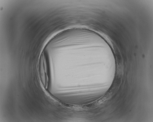 X0000083660911200703051748