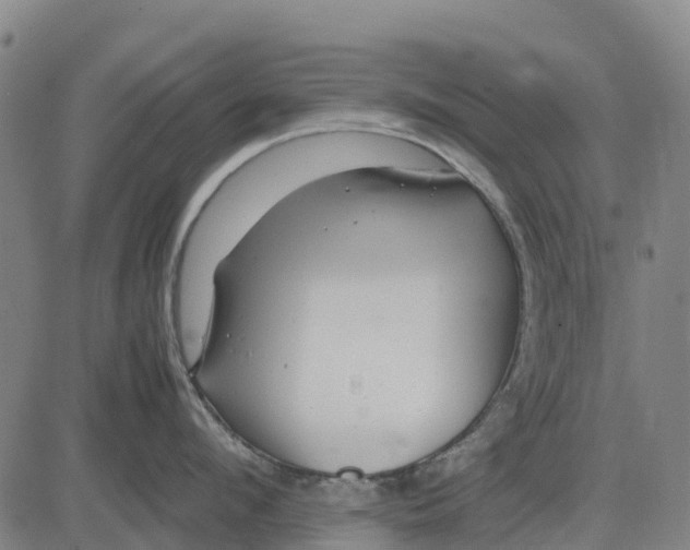 X0000083660912200703051748