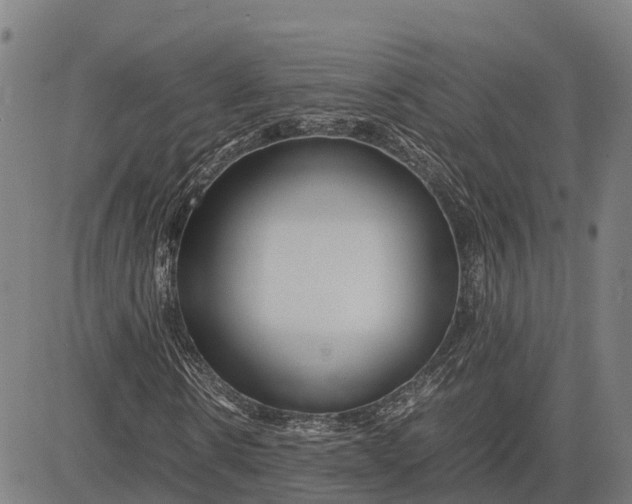 X0000083660914200703051748