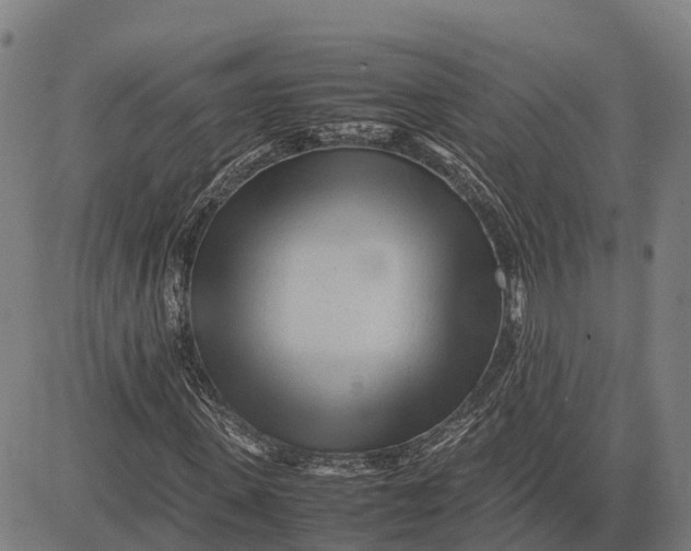 X0000083660915200703051748